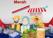 Koperasi Desa Merah Putih Mulai Bayar Utang ke Bank BUMN September 2026