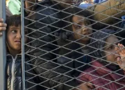 Krisis Imigran di Afrika Selatan dan Zimbabwe: Antara Xenophobia dan Kerjasama