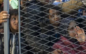 Krisis Imigran di Afrika Selatan dan Zimbabwe: Antara Xenophobia dan Kerjasama