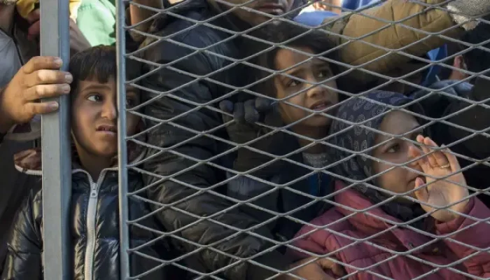 Krisis Imigran di Afrika Selatan dan Zimbabwe: Antara Xenophobia dan Kerjasama
