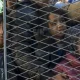 Krisis Imigran di Afrika Selatan dan Zimbabwe: Antara Xenophobia dan Kerjasama