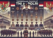 Marsekal Madya dan Struktur Pangkat di Indonesia: Mengenal TNI dan Polri
