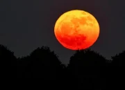 Mengenal Strawberry Moon dan Harvest Moon: Dua Fenomena Alam yang Unik