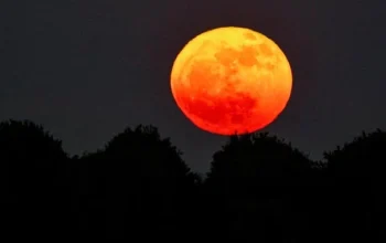 Mengenal Strawberry Moon dan Harvest Moon: Dua Fenomena Alam yang Unik