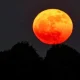 Mengenal Strawberry Moon dan Harvest Moon: Dua Fenomena Alam yang Unik
