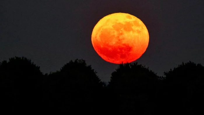 Mengenal Strawberry Moon dan Harvest Moon: Dua Fenomena Alam yang Unik
