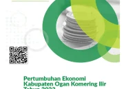 Ogan Komering Ilir Mengalami Perkembangan dan Tantangan