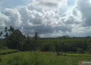 Pangkal Pinang Cerah, Prakiraan Cuaca dan Berita Terkini