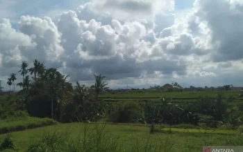 Pangkal Pinang Cerah, Prakiraan Cuaca dan Berita Terkini