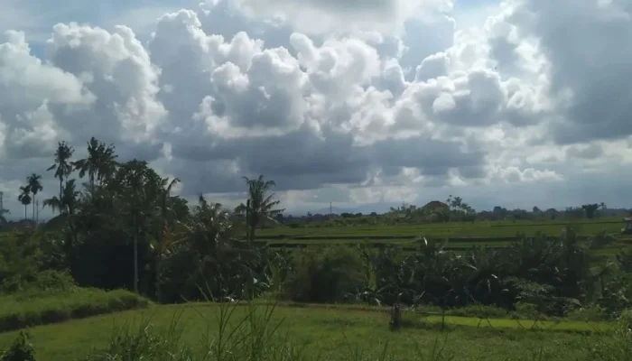 Pangkal Pinang Cerah, Prakiraan Cuaca dan Berita Terkini