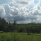 Pangkal Pinang Cerah, Prakiraan Cuaca dan Berita Terkini