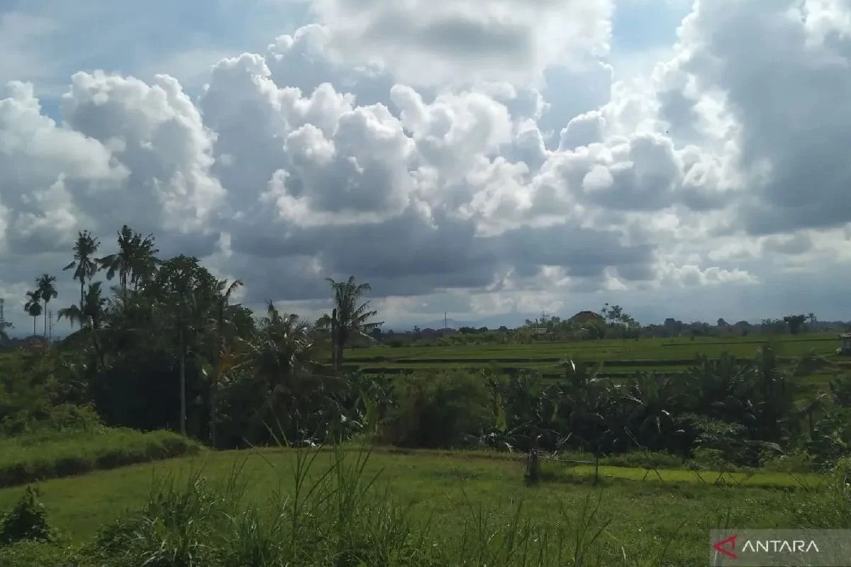 Pangkal Pinang Cerah, Prakiraan Cuaca dan Berita Terkini
