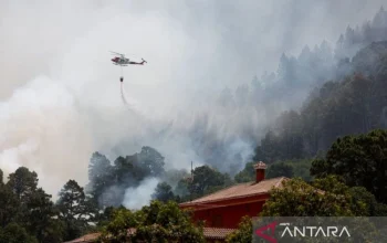 Pedro Sanchez dan Kebakaran Hutan di Spanyol: Antara Kepemimpinan dan Bencana Alam