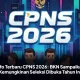 Pemerintah Belum Buka Seleksi CPNS 2026, Ini Alasan Terbaru dari BKN