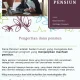 Pensiun: Pengertian, Jenis, dan Tujuannya serta Berita Terkini