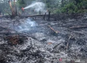Peristiwa Besar di Perancis: Kebakaran Hutan dan Kontroversi Politik