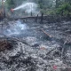 Peristiwa Besar di Perancis: Kebakaran Hutan dan Kontroversi Politik