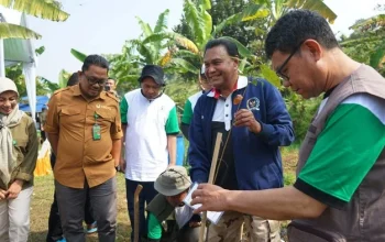 PKB Luncurkan Gerakan Tanam Sejuta Pohon Nasional dalam Rangka Harlah ke-28