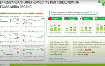 Platina, Komoditas yang Semakin Berharga
