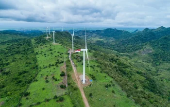 Prajogo Pangestu Perkuat Posisi di Industri Energi Terbarukan