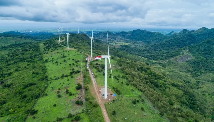 Prajogo Pangestu Perkuat Posisi di Industri Energi Terbarukan