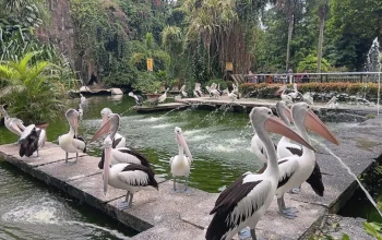 Ragunan: Pusat Edukasi dan Hiburan di Jakarta