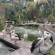 Ragunan: Pusat Edukasi dan Hiburan di Jakarta