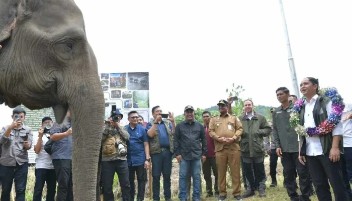 Raja Juli Antoni dan Kasus Gratifikasi: Upaya Konservasi Gajah dan Penolakan Laporan