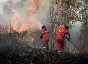 Tim Payne dan Bencana Alam: Asap Kebakaran Hutan Mengancam Masyarakat