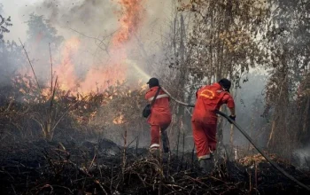 Tim Payne dan Bencana Alam: Asap Kebakaran Hutan Mengancam Masyarakat