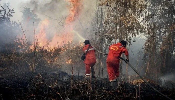 Tim Payne dan Bencana Alam: Asap Kebakaran Hutan Mengancam Masyarakat