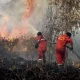 Tim Payne dan Bencana Alam: Asap Kebakaran Hutan Mengancam Masyarakat