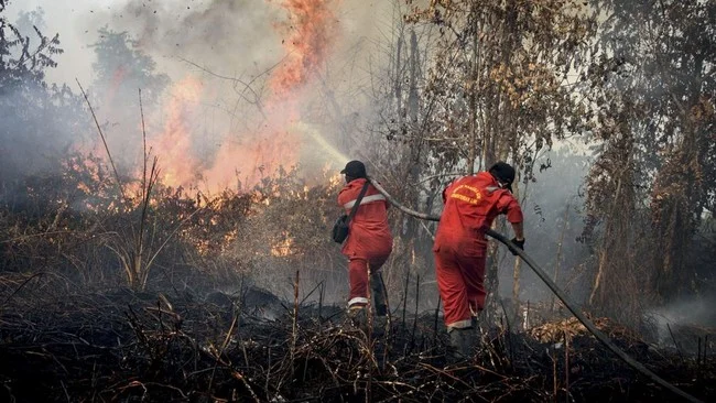 Tim Payne dan Bencana Alam: Asap Kebakaran Hutan Mengancam Masyarakat