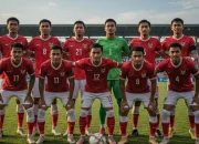 Viking FC dan Pemain Bintangnya: Kisah Sukses di Dunia Sepak Bola