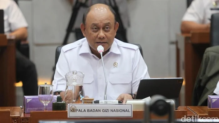 Wakil Kepala Badan Gizi Nasional Dalam Sorotan: Dari Penutupan SPPG Hingga Kasus Korupsi