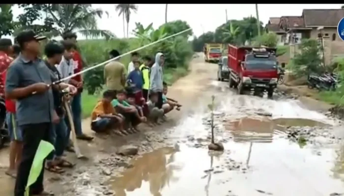 Warga Lampung Protes Hasil SPMB, Pemblokiran Jalan Berakhir Damai