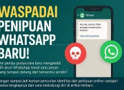 WhatsApp Username Dinilai Rawan Penipuan dan Phishing, Bagaimana Mengamankannya?