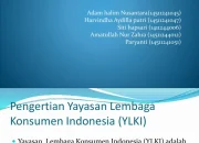 YLKI Desak Konsumen untuk Memboikot Grup Lion Air