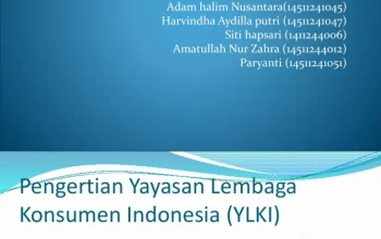 YLKI Desak Konsumen untuk Memboikot Grup Lion Air