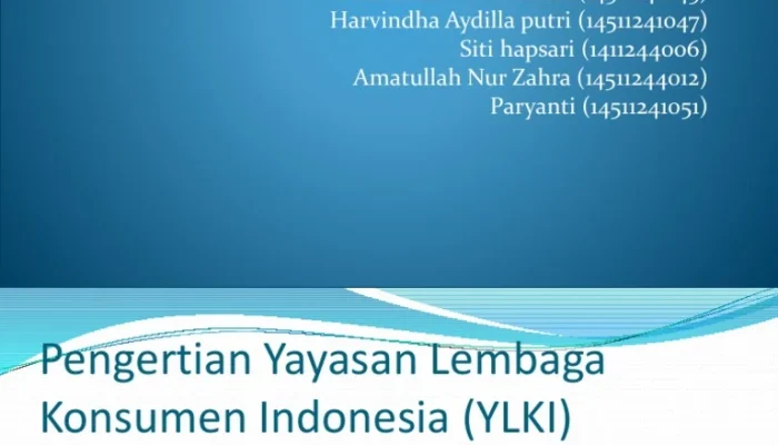 YLKI Desak Konsumen untuk Memboikot Grup Lion Air