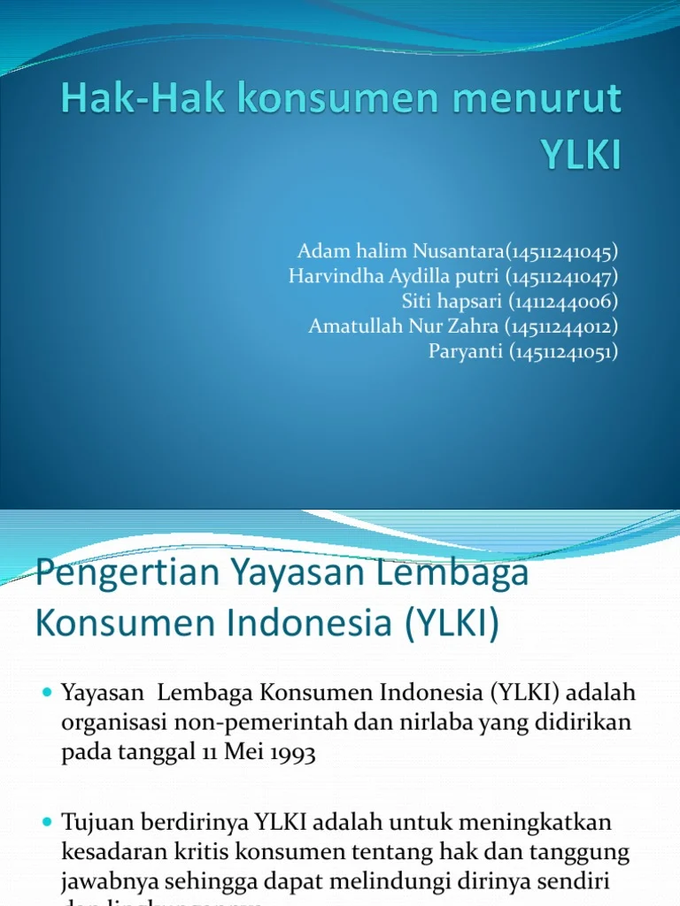 YLKI Desak Konsumen untuk Memboikot Grup Lion Air
