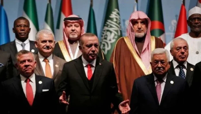 Arab Saudi Mendapat Dukungan Kuat dari Negara-Negara Arab dan Organisasi Internasional