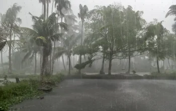 Badai Petir Melanda Newport: Warga Diminta Mencari Tempat Berkalah