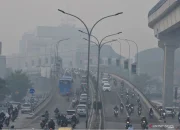 Berita Terkini: Zulhas, Kualitas Udara di Palembang, dan Ekonomi Indonesia