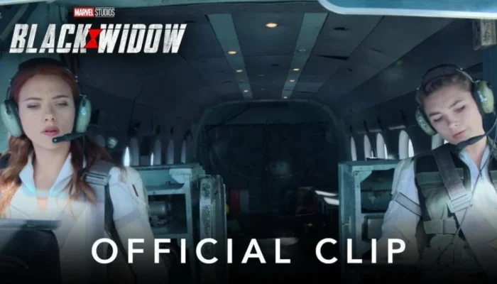 ‘Black Widow’ Dijebloskan ke Penjara Setelah Menipu £300k dari Seorang Janda Tua