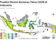 BMKG: Waspadai Kekeringan dan Karhutla di Indonesia, Ini Daftar Wilayah yang Berpotensi Terkena