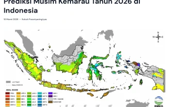BMKG: Waspadai Kekeringan dan Karhutla di Indonesia, Ini Daftar Wilayah yang Berpotensi Terkena