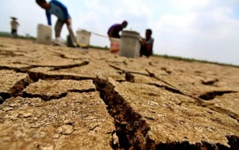 Darurat Karhutla dan Kekeringan Melanda Indonesia: Apa yang Terjadi?