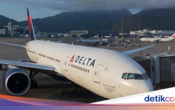 Delta Air Lines Perkenalkan Rute Baru dan Penangkapan Penyelundupan Gula di Perbatasan Vietnam