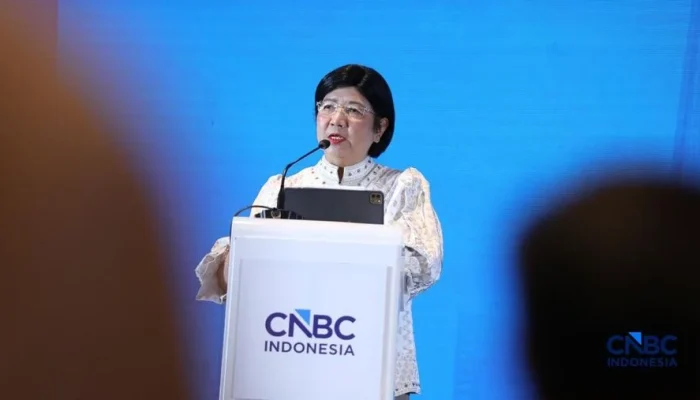 Destry Damayanti Siap Jadi Gubernur Bank Indonesia Pertama, Apa yang Terjadi Selanjutnya?